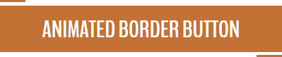 Animated Border Button
